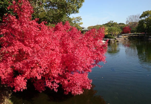 20131127113504-SO-01F.jpg