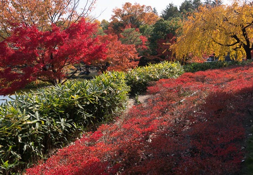 201311271138-DSC09214N.jpg