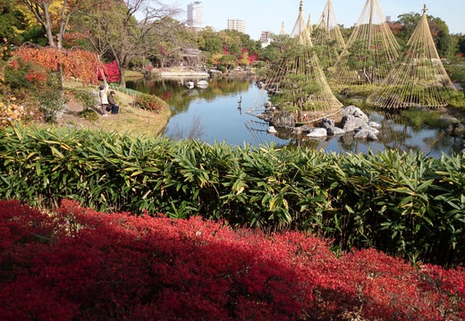 20131127113923-SO-01F.jpg