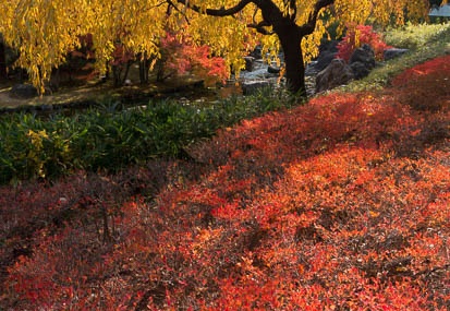 201311271142-DSC09228N.jpg