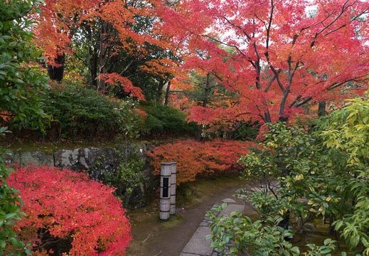 201311271202-DSC09288N.jpg