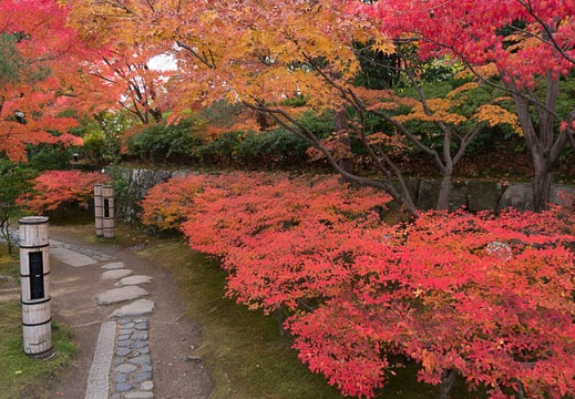 201311271212-DSC09321N.jpg