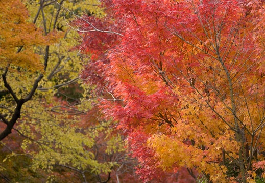 201311271216-DSC05119.jpg