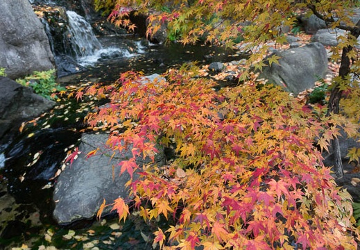 201311271221-DSC09346N.jpg