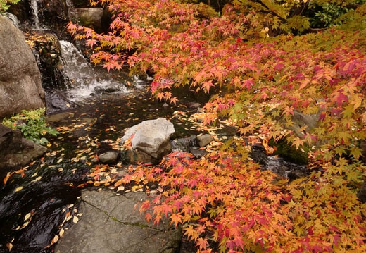 20131127122152-SO-01F.jpg