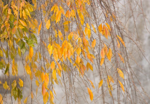 201311271431-DSC05175.jpg