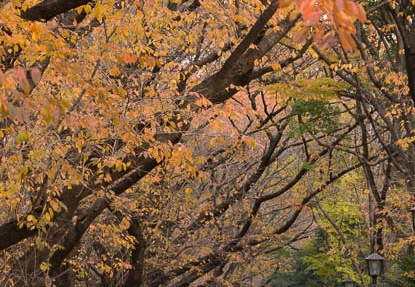 201311271436-DSC05177.jpg
