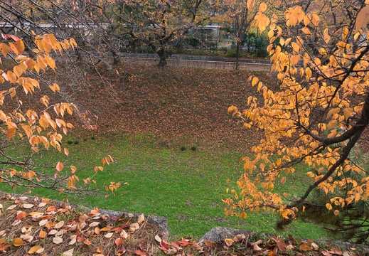 201311271444-DSC09488N.jpg