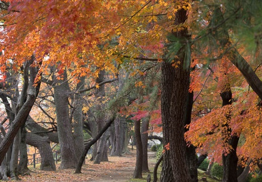 201311271447-DSC05188.jpg