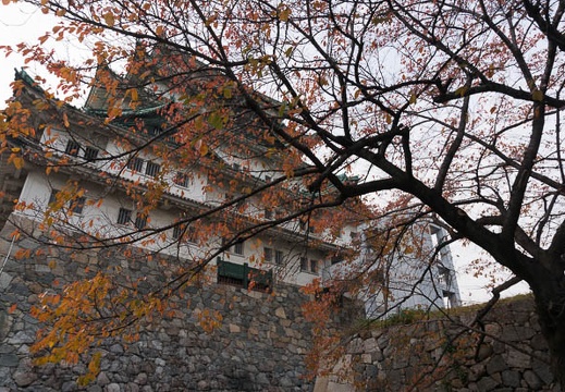 201311271515-DSC09533N.jpg