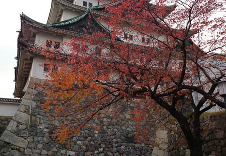 20131127151531-SO-01F.jpg
