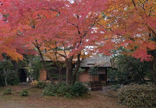 201311271524-DSC09550N.jpg