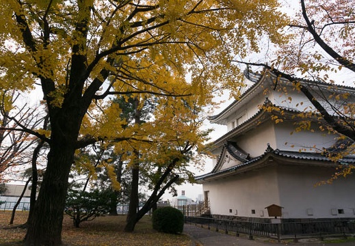 201311271531-DSC09557N.jpg
