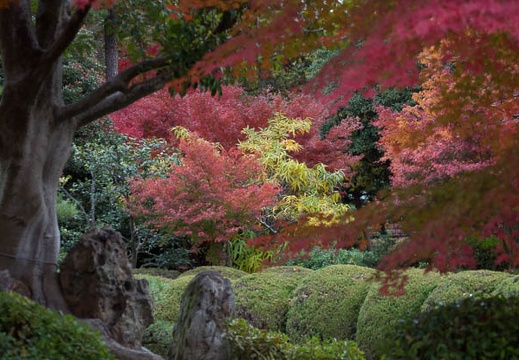 201311271552-DSC05236.jpg
