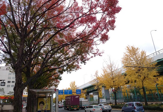 20131128131045-SO-01F.jpg