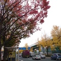 20131128131045-SO-01F.jpg