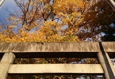 20131129153640-SO-01F.jpg