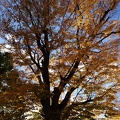 20131129153851-SO-01F.jpg