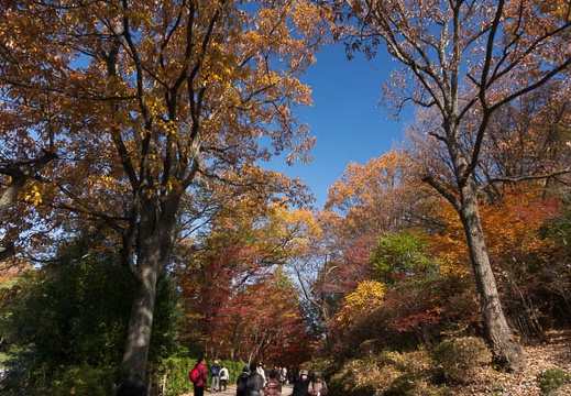 201312011127-DSC09623N.jpg