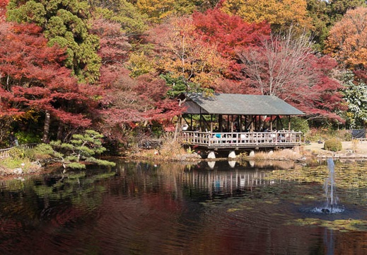 201312011133-DSC09640N.jpg