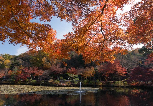 201312011136-DSC09652N.jpg