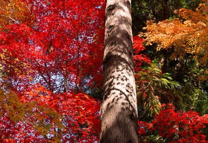 201312011154-DSC09702N.jpg
