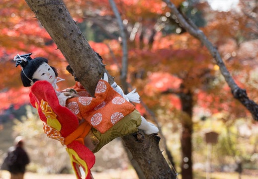 201312011206-DSC09727N.jpg