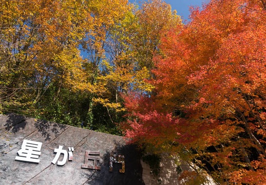 12.01 東山動植物園