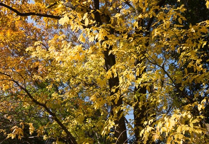 201312011302-DSC09774N.jpg