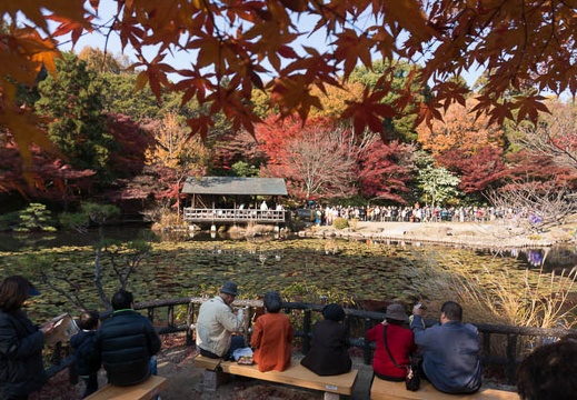 201312011330-DSC09831N.jpg