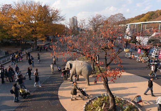 201312011506-DSC09898N.jpg