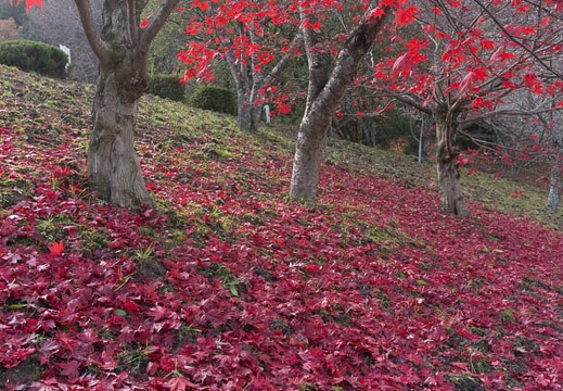 201312021004-DSC09914N.jpg