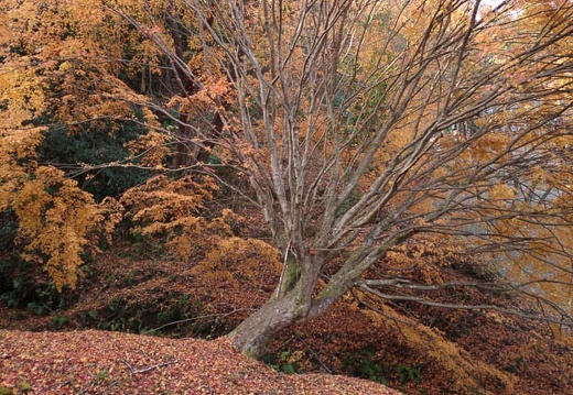 20131202101423-SO-01F.jpg