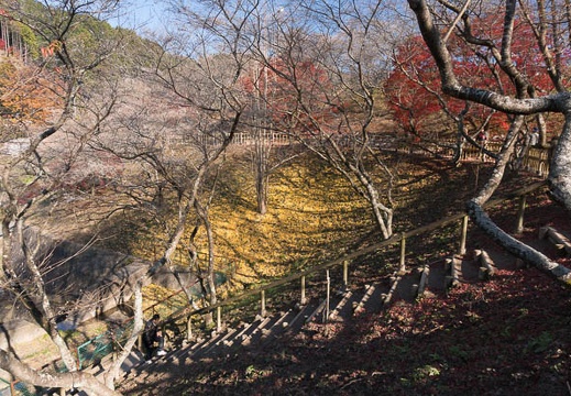 201312021045-DSC09974N.jpg