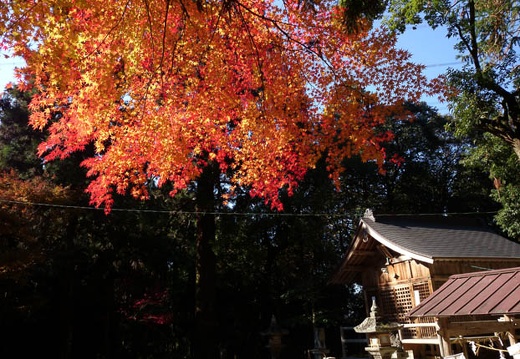 20131202113445-SO-01F.jpg