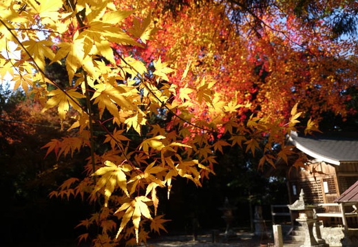 20131202113638-SO-01F.jpg