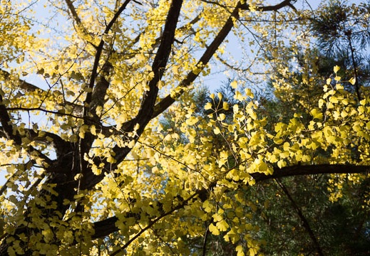 201312021140-DSC05662.jpg