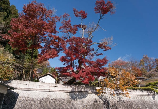 201312021153-DSC00067N.jpg