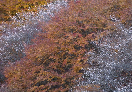 201312021253-DSC05732.jpg