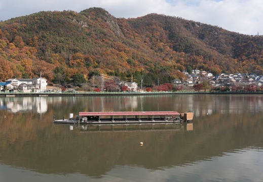 201312031231-DSC00225N.jpg