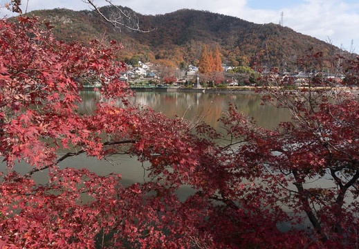 201312031240-DSC00231N.jpg