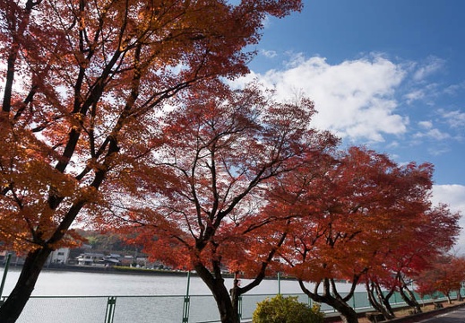 201312031254-DSC00259N.jpg