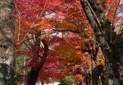 201312031257-DSC00272N.jpg