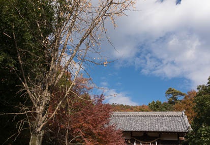 201312031300-DSC00282N.jpg