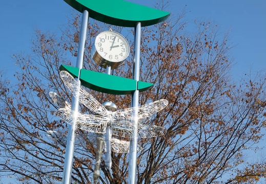 201312041402-DSC06223R.jpg