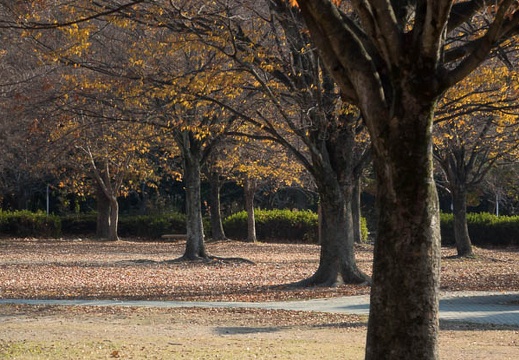 201312041404-DSC06226R.jpg