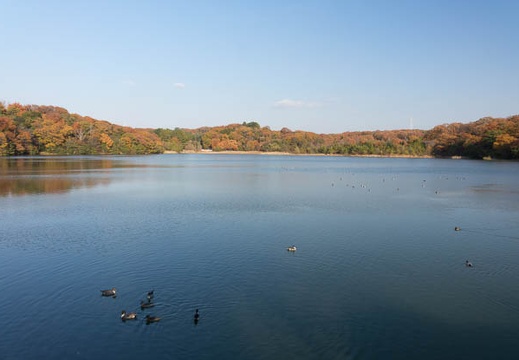 201312041454-DSC06314R.jpg