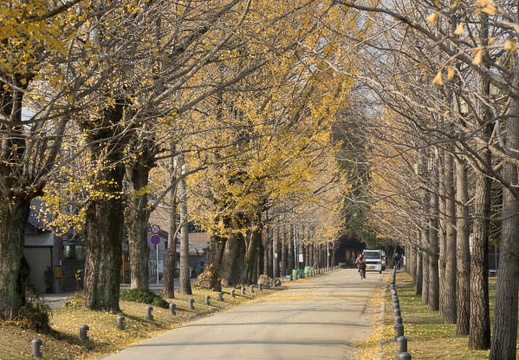 201312061016-DSC06839R.jpg