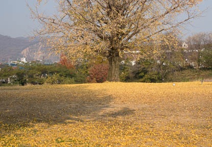 201312061023-DSC06854R.jpg