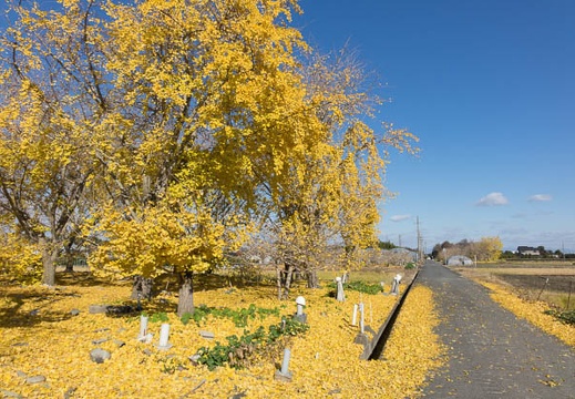 201312081008-DSC07378R.jpg